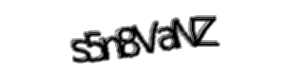 Security check image, please type the characters shown
